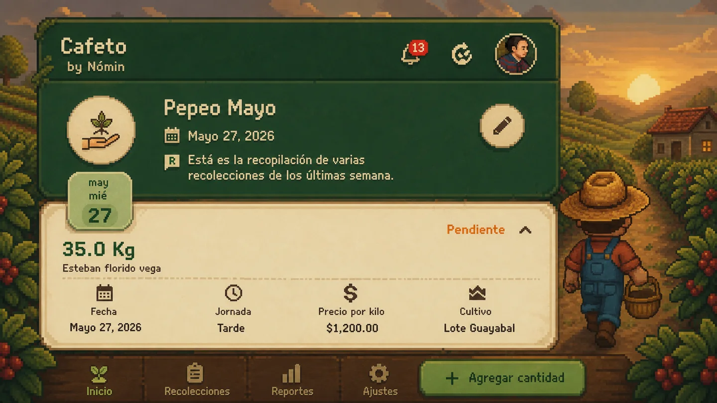 Detalle de cantidades recolectadas en una cosecha de Cafeto